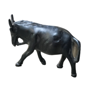 wildebeest